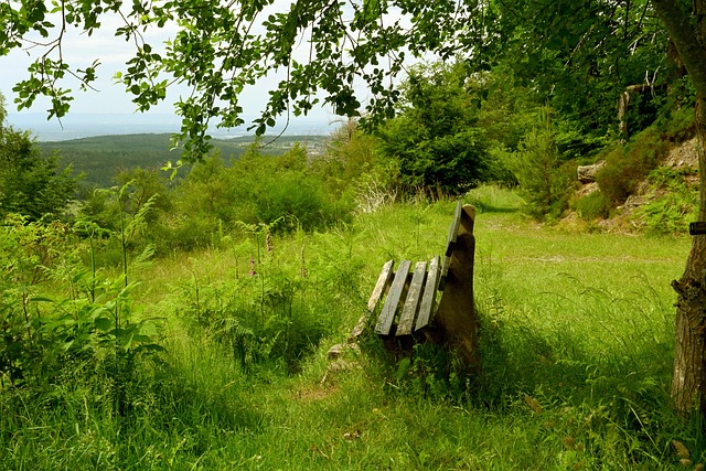使学生自发 使学生自发