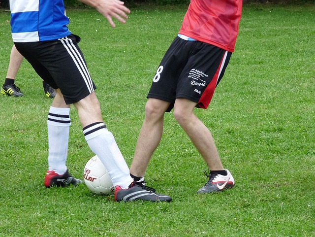 纽约尼克斯 纽约尼克斯